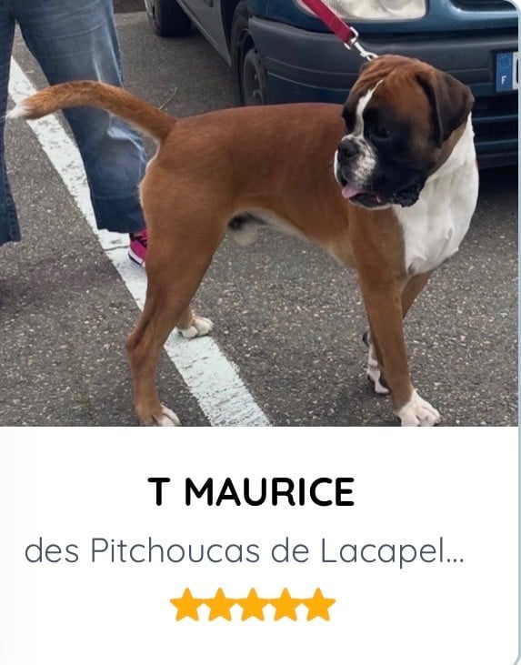 Publication : (Sans Affixe)
