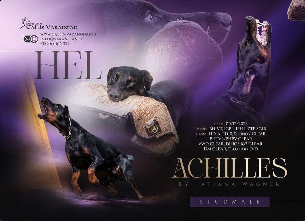 Achilles By Tatiana Wagner