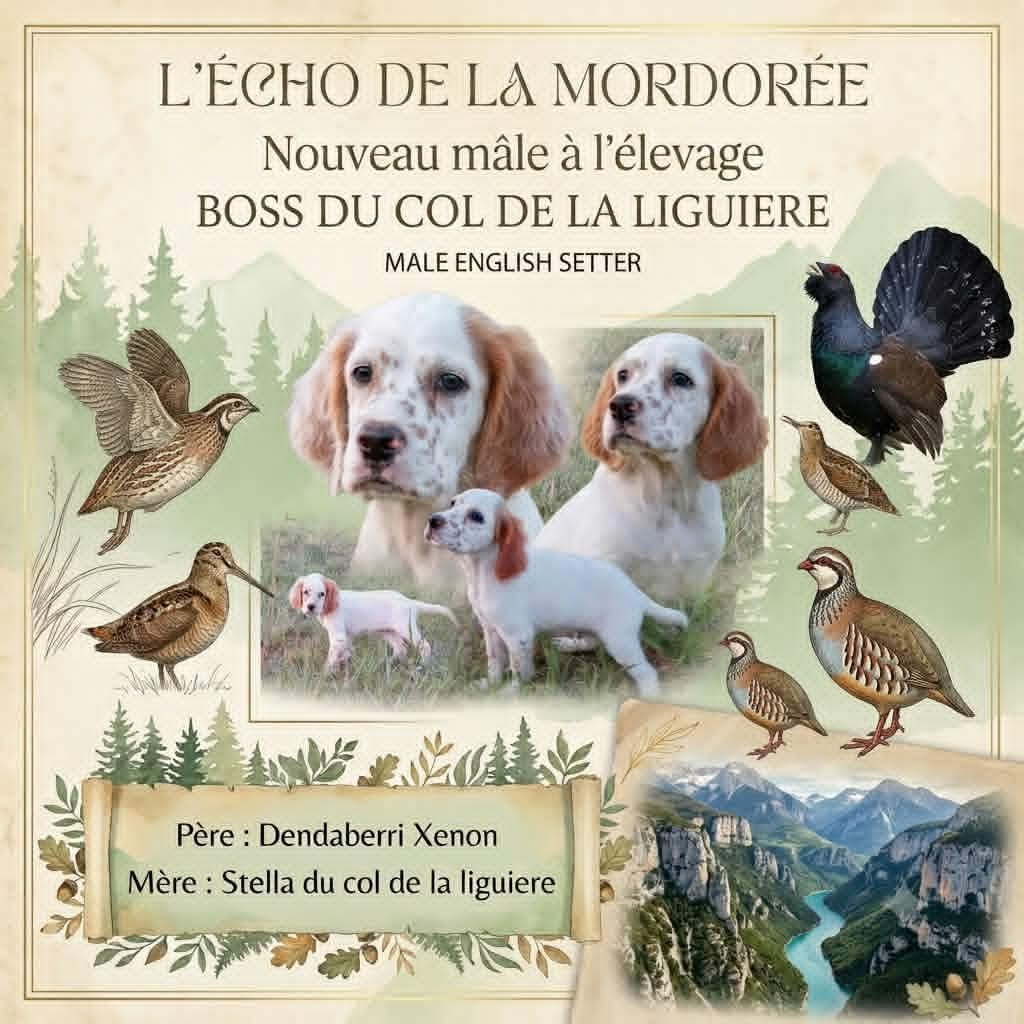 Publication : de l'écho de la Mordorée  