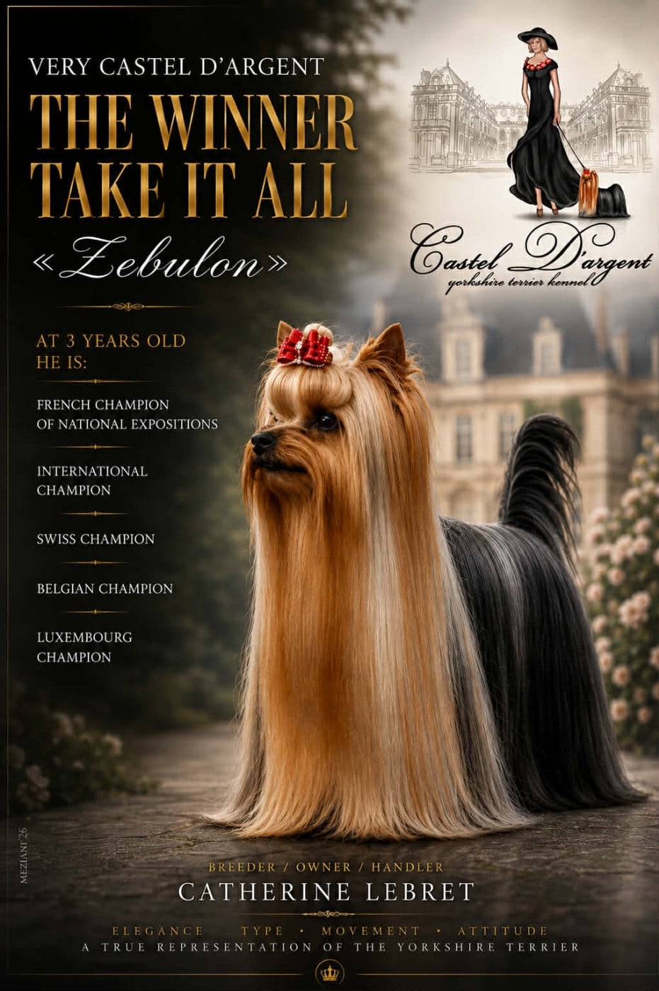 Publication : Very Castel D'Argent  Auteur : Castel d Argent