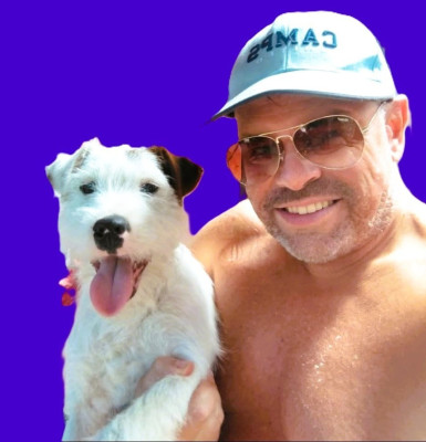 Étalon Parson Russell Terrier - Vadim the Dandy (Sans Affixe)