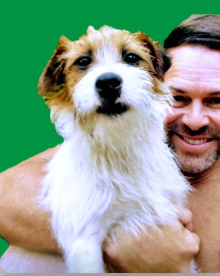 Étalon Parson Russell Terrier - Vertige de l'Amour (Sans Affixe)
