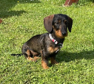 dior von sunderhaar
