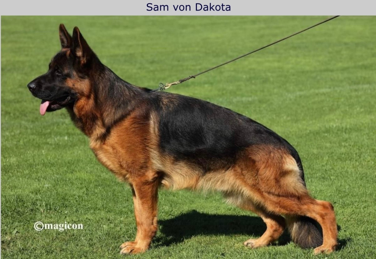 Sam Von dakota