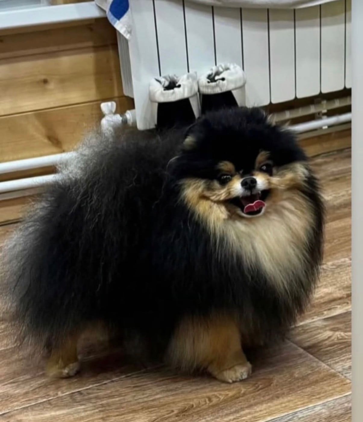 Publication : Du Domaine Du Diamant Bleu  