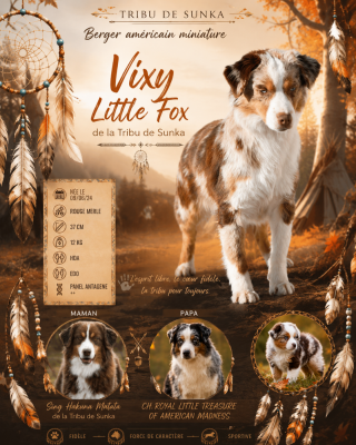 Vixy Little Fox De La Tribu De Sunka