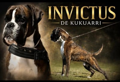 image de Invictus de KUKUARRI