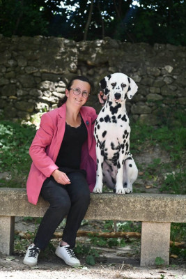 Étalon Dalmatien - Indy's Dream Arthur The King