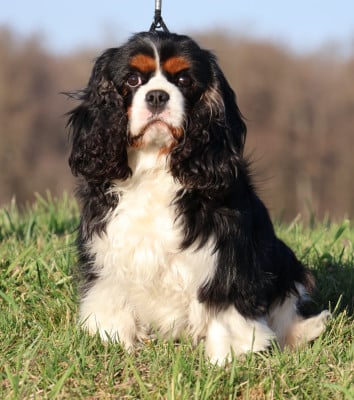 umy  du domaine de la Vareze