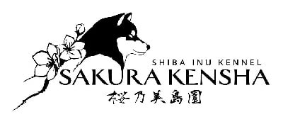 Go Sakura Kensha