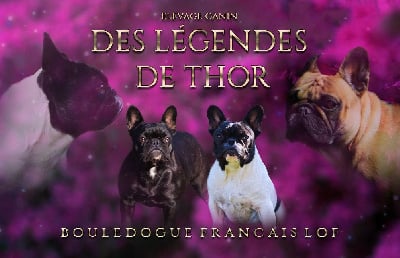 Des Legendes De Thor