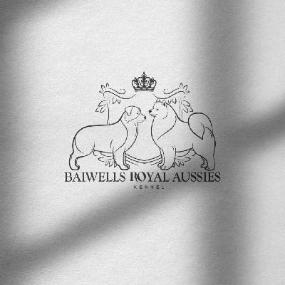 Of Baiwells Royal Aussies