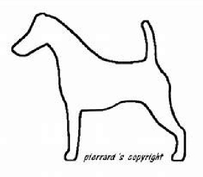 Étalon Fox Terrier Poil lisse - Tifany twist again dissolins (Sans Affixe)