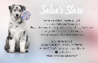 Of Salsa's Stars