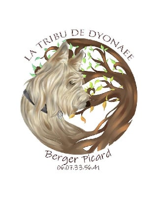 De La Tribu De Dyonaee