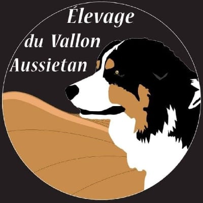 Du Vallon Aussietan