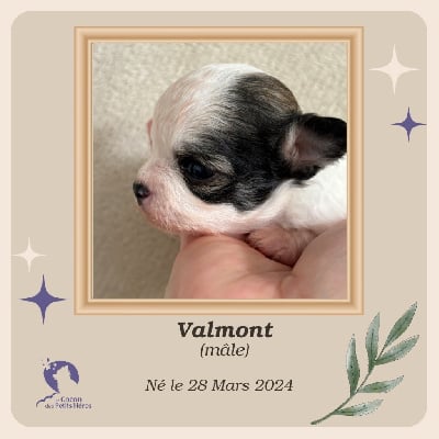 Valmont - Chihuahua
