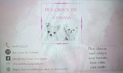 Des Crocs De L'Oisans