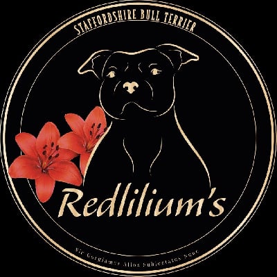Redlilium's