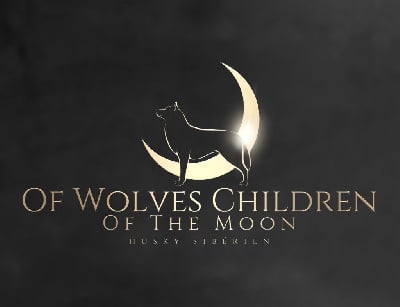 Of Wolves Children Of The Moon