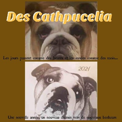 Des Cathpucelia