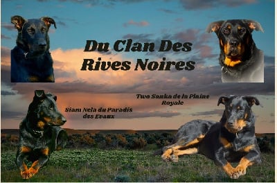 Du Clan Des Rives Noires