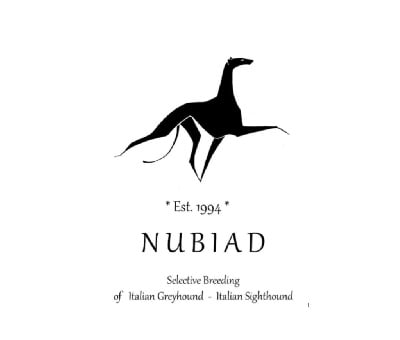 Nubiad