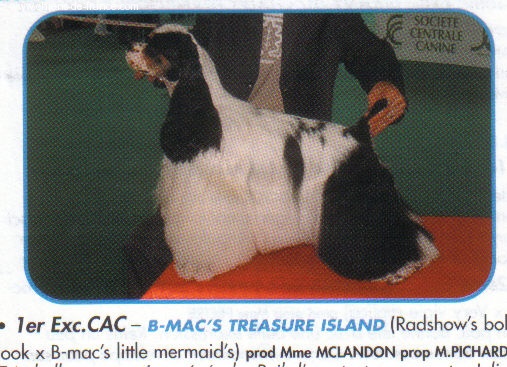 CH. B-mac's Treasure island