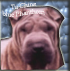 Tu-chins blue Phanthom