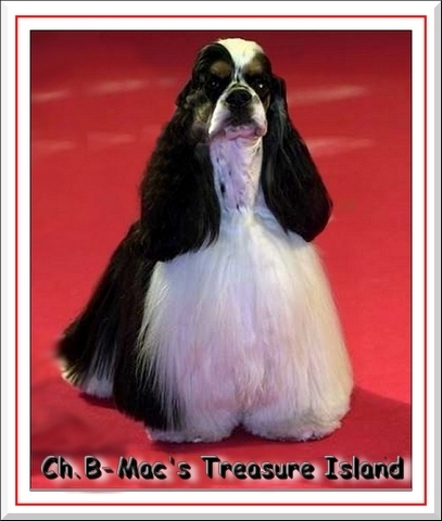 CH. B-mac's Treasure island