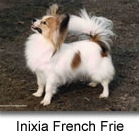 Inixia French frie