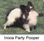 Inixia Party pooper