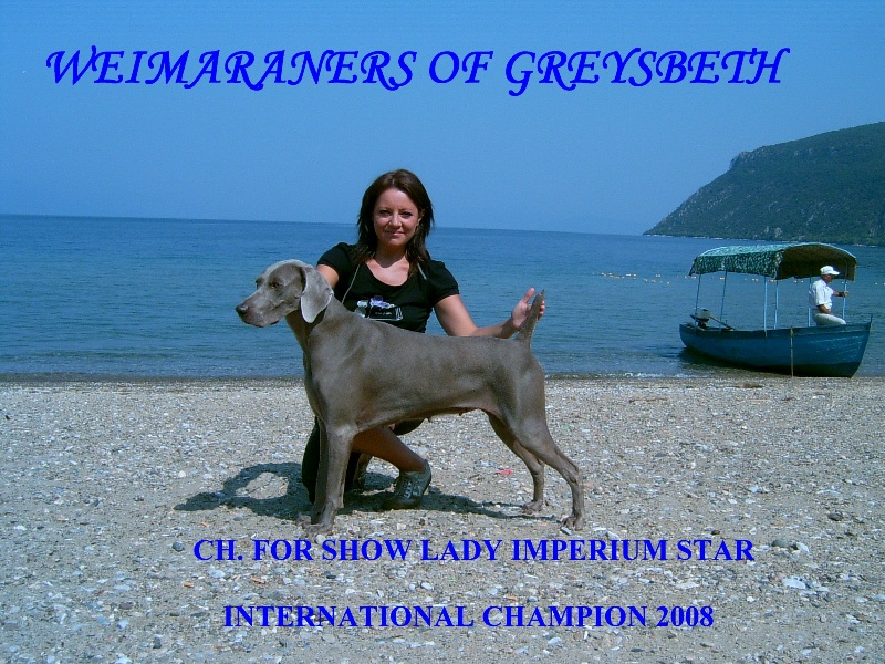 TR. CH. For show lady  Imperium star di Greysbeth