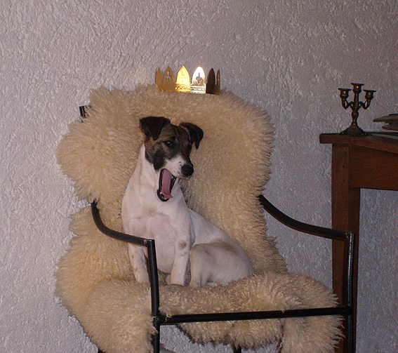 Cléo De camp remy