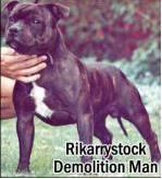 CH. rikarrystock Demolition man
