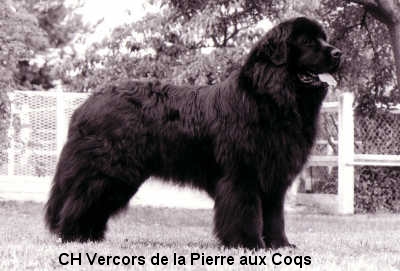 CH. Vercors De la Pierre aux Coqs