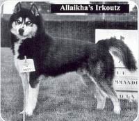 Allaikha's Irkoutz