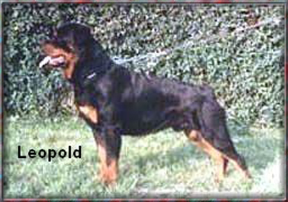 Leopold (Sans Affixe)