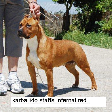 karballido staffs Infernal red
