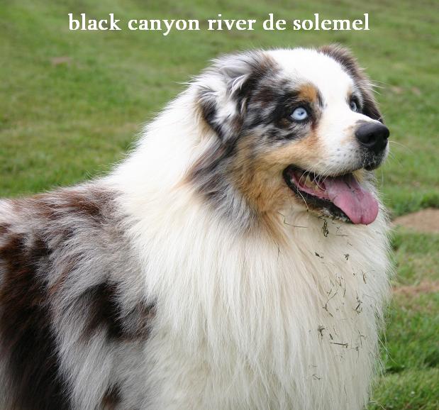 Black canyon river de Solemel