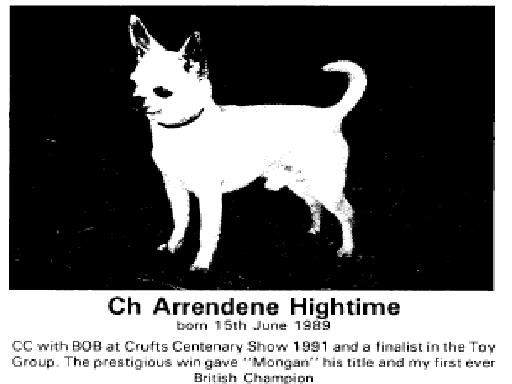 CH. Arrendene High time