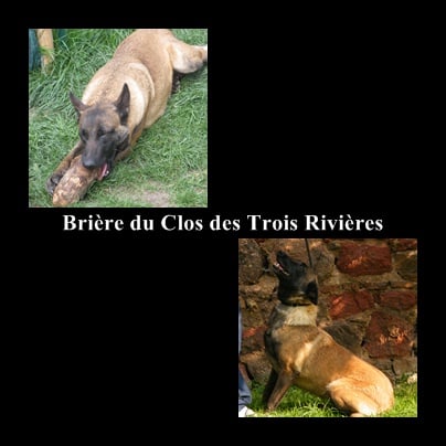 Briere Du Clos des Trois Rivières