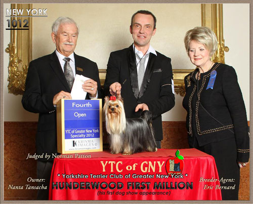 Hunderwood First million