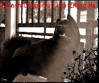 Étalon Chow Chow - French dream du li de Zheng He