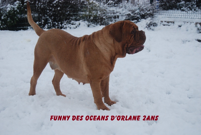 Funny des Océans d'Orlane
