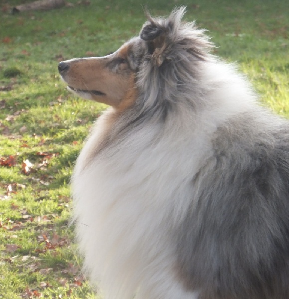 Guapo tio De cabrenysset