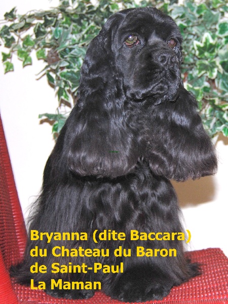 Bryanna dite baccara Du château du baron de saint paul