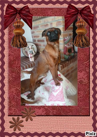 Hisidore dit harrods the fabulous king du Domaine des Cotieres