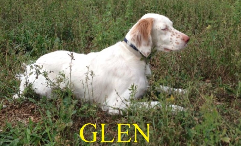 Glen Des landes aux vignes