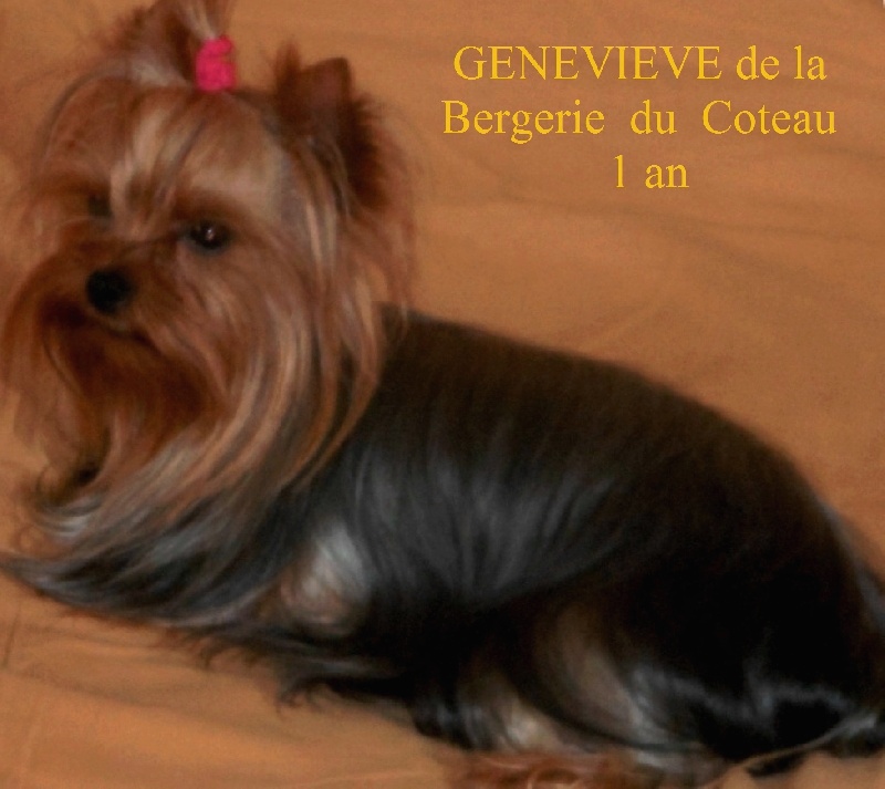 Geneviève De la Bergerie du Coteau